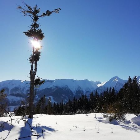 Chalupka U Babicky Villa Ždiar Buitenkant foto