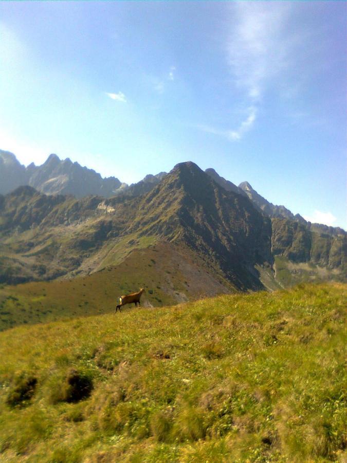Chalupka U Babicky Villa Ždiar Buitenkant foto