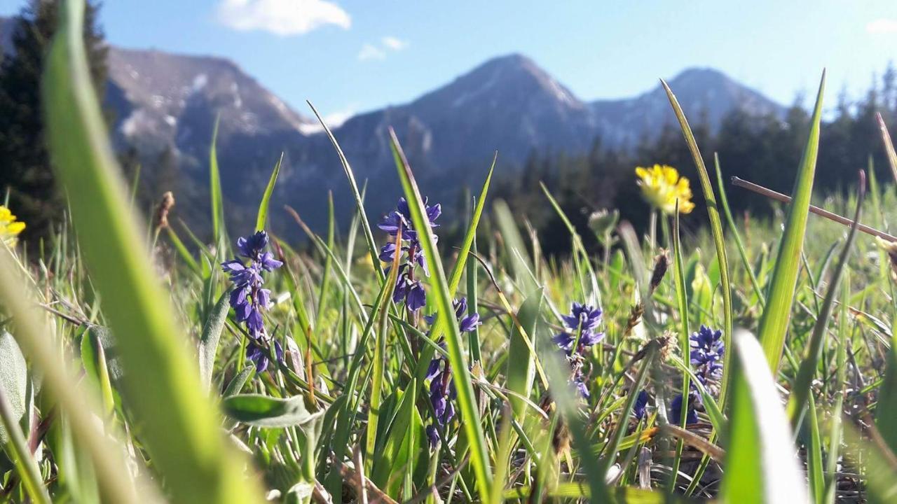 Chalupka U Babicky Villa Ždiar Buitenkant foto