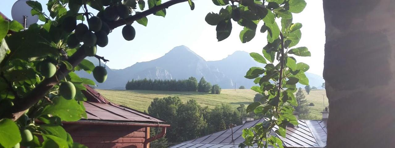 Chalupka U Babicky Villa Ždiar Buitenkant foto