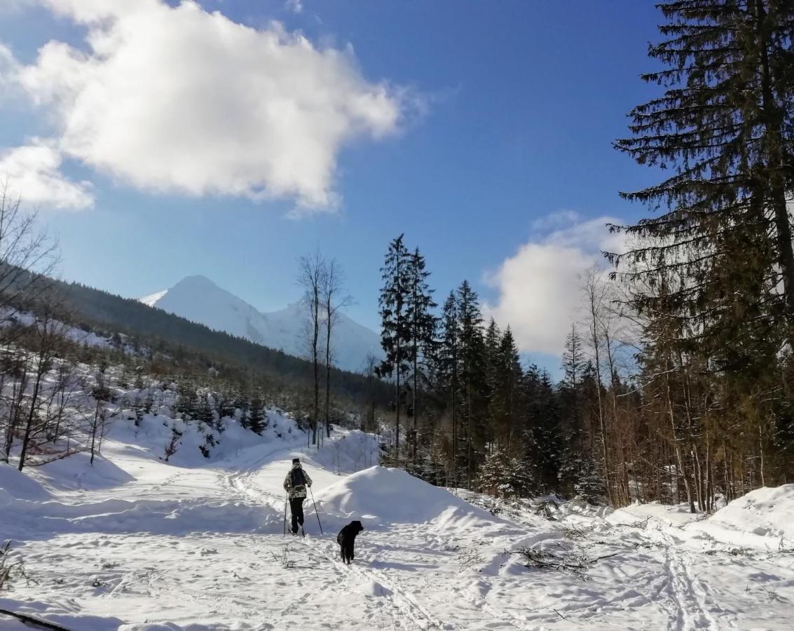 Chalupka U Babicky Villa Ždiar Buitenkant foto