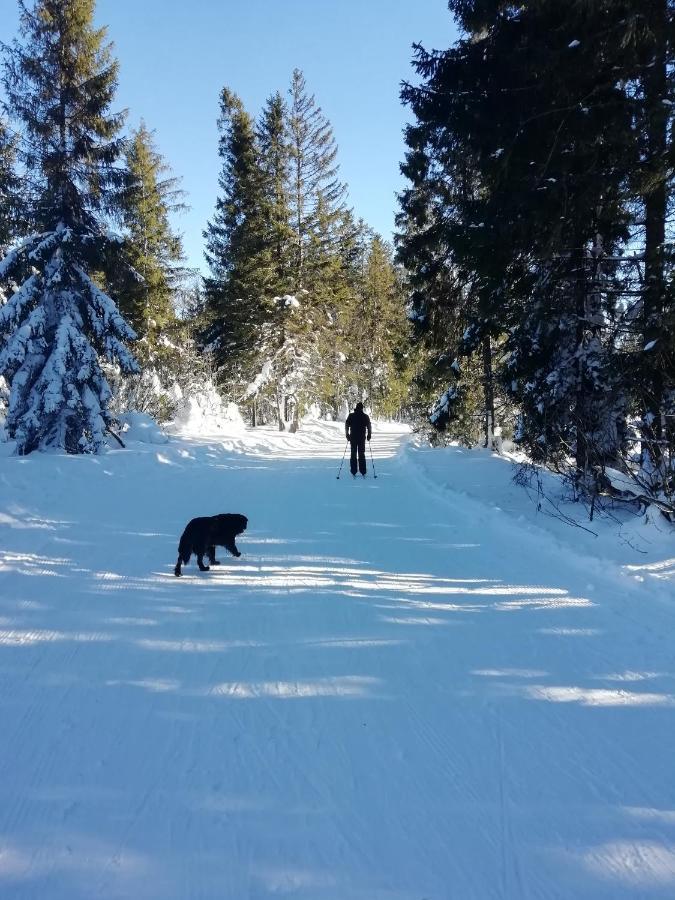 Chalupka U Babicky Villa Ždiar Buitenkant foto
